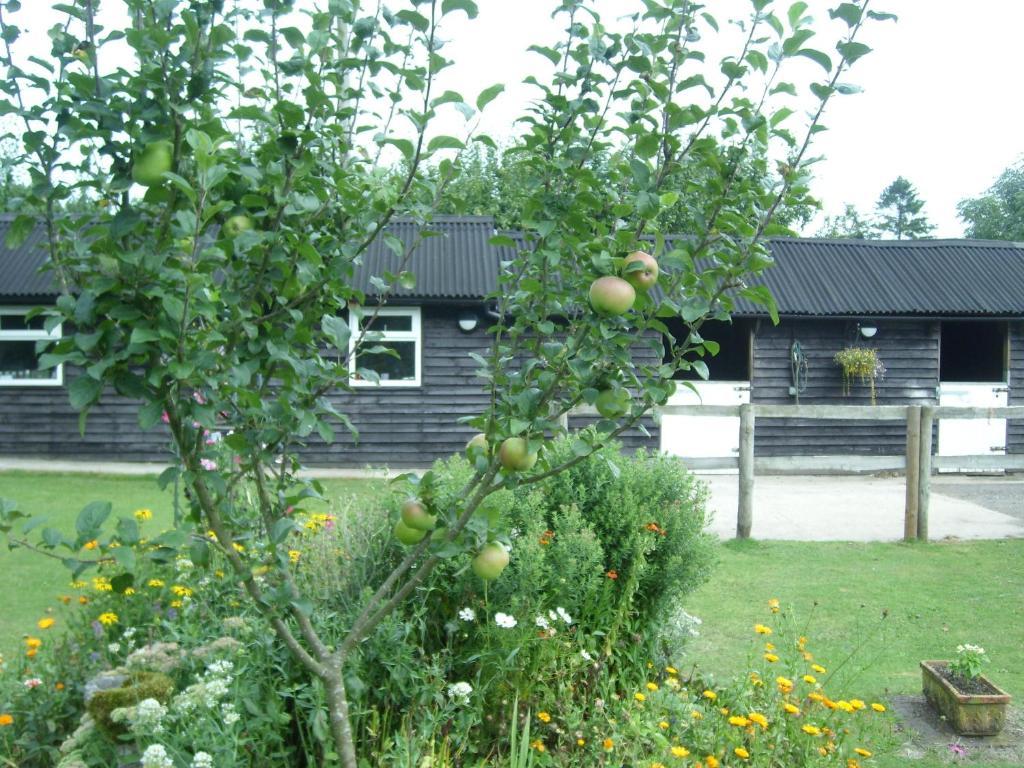 Stelling Heathwood Lodge מראה חיצוני תמונה